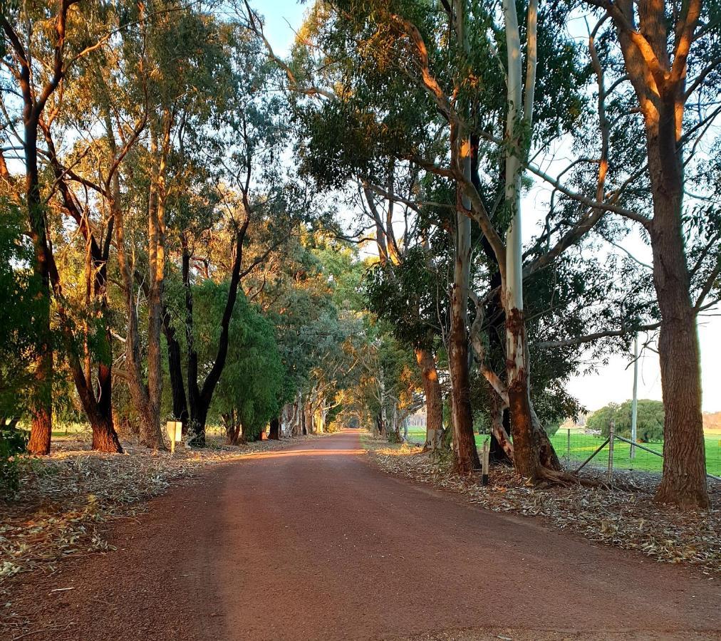 Bussells Bushland Cottages Margaret River Zewnętrze zdjęcie