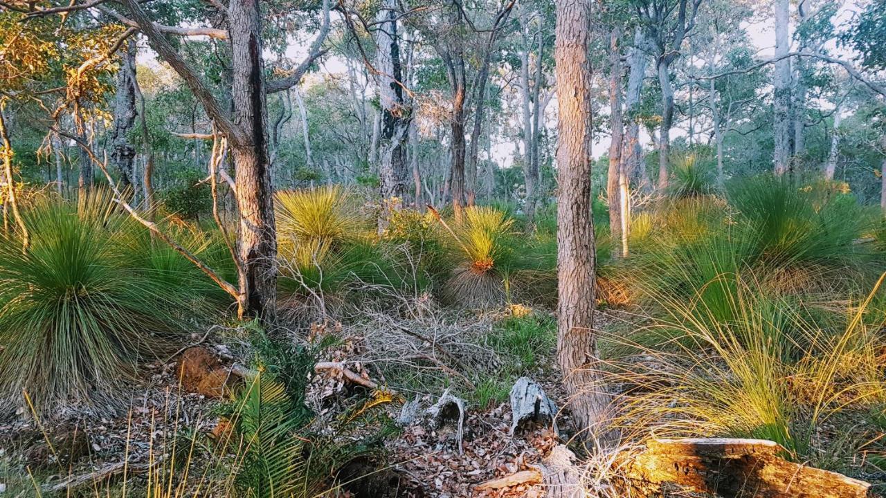 Bussells Bushland Cottages Margaret River Zewnętrze zdjęcie